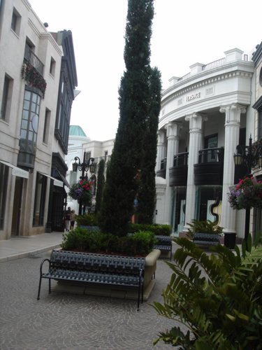 DSC02445-1.JPG