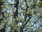 DSC02502.JPG