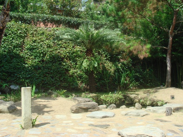DSC02693.JPG