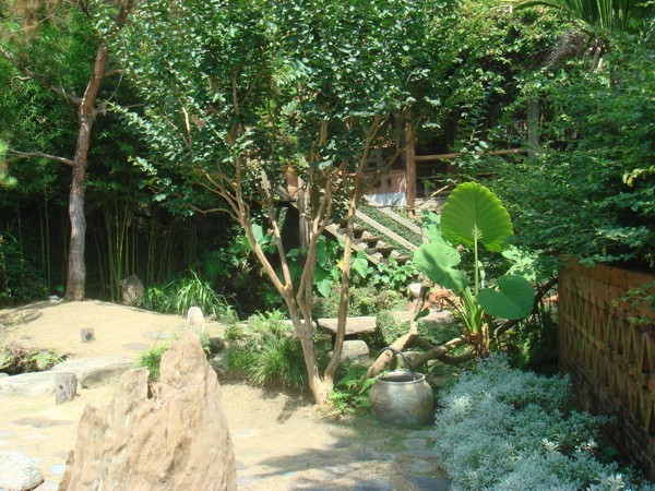 DSC02694.JPG