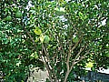 DSC02686.JPG