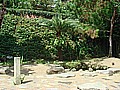 DSC02693.JPG