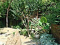 DSC02694.JPG