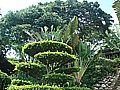 DSC02695.JPG