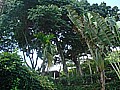 DSC02696.JPG