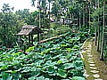 DSC02699.JPG
