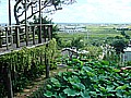 DSC02700.JPG