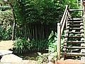 DSC02703.JPG