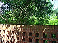 DSC02714.JPG
