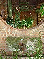 DSC02716.JPG