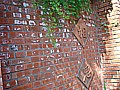 DSC02725.JPG
