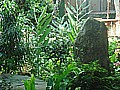 DSC02732.JPG