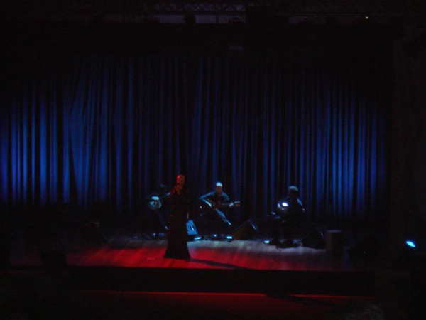 DSC02774.JPG