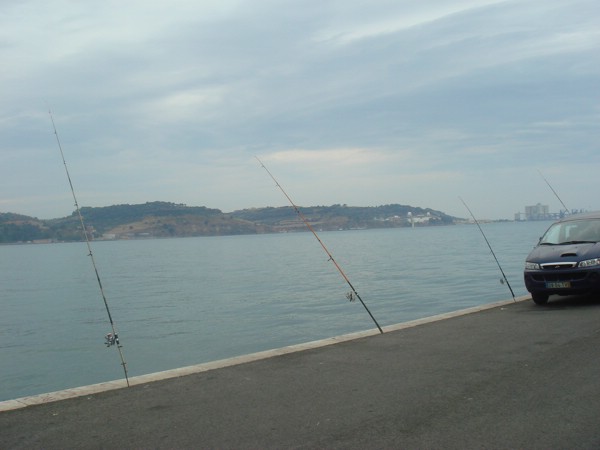 DSC02929.JPG