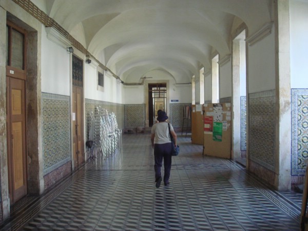 DSC03164.JPG
