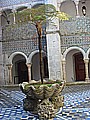 DSC02818.JPG