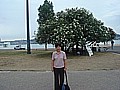 DSC02936.JPG