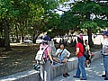 DSC03062.JPG