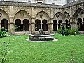 DSC03133.JPG