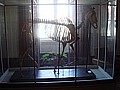 DSC03165.JPG