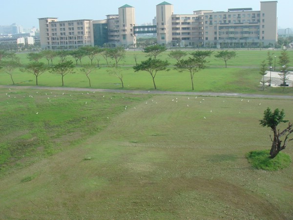 DSC03248.JPG