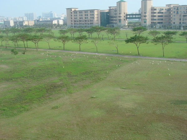 DSC03249.JPG