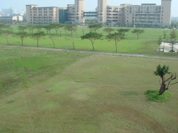 DSC03250.JPG