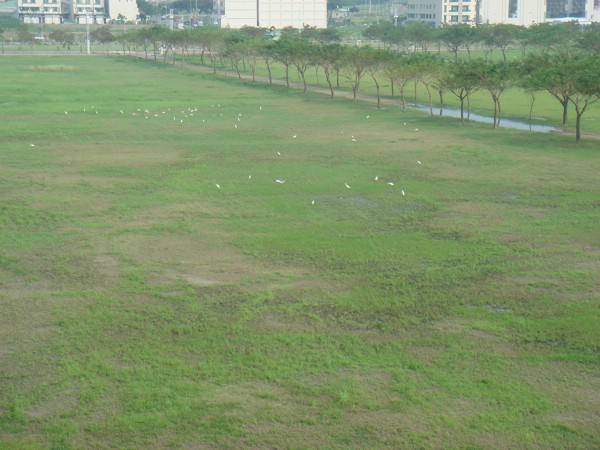 DSC03251.JPG