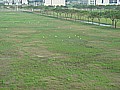DSC03251.JPG