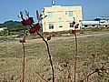 DSC03280.JPG