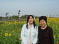 DSC03336.JPG