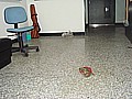 DSC03379.JPG