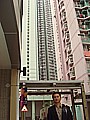DSC03551.JPG