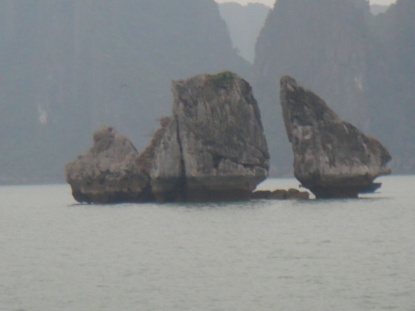 DSC03648.JPG