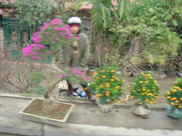 DSC03667.JPG