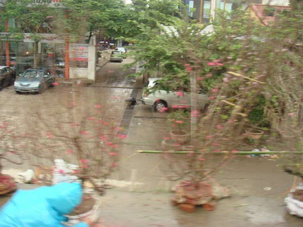 DSC03668.JPG