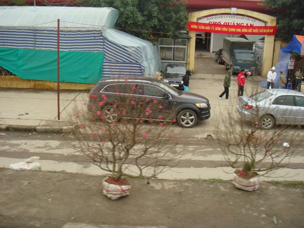 DSC03670.JPG