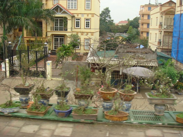DSC03679.JPG