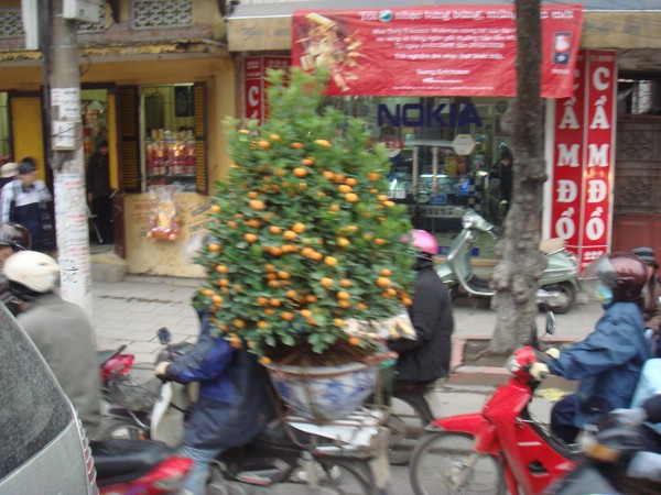 DSC03737.JPG
