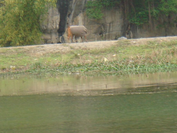 DSC03818.JPG