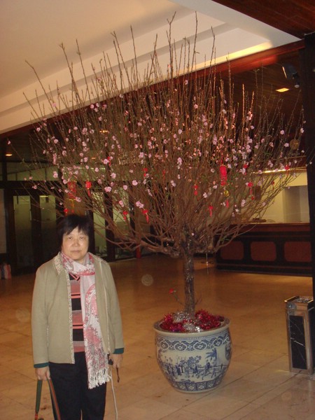 DSC03842.JPG