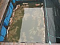 DSC03641.JPG