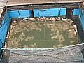 DSC03642.JPG