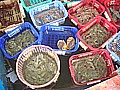 DSC03643.JPG