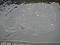 DSC03644.JPG