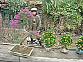 DSC03667.JPG