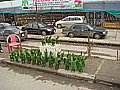 DSC03671.JPG