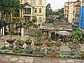 DSC03679.JPG