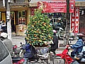 DSC03737.JPG