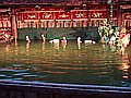 DSC03743.JPG